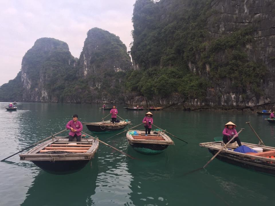 Beautiful Halong  Bay: Vietnam Travel